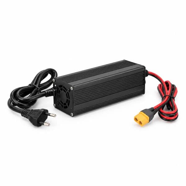 Chargers & Charging Modules